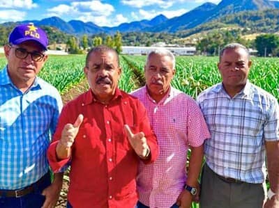 PLD reclama saldar deudas con productores de ajo PLD reclama saldar deudas con productores de ajo