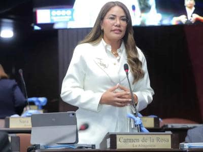 Diputada Carmen de la Rosa propone crear Colegio de Farmacéuticos Diputada Carmen de la Rosa propone crear Colegio de Farmacéuticos