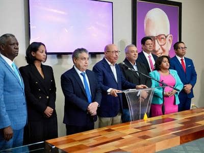 “El presidente debió condenar en la ONU la masacre en Gaza”, cree PLD “El presidente debió condenar en la ONU la masacre en Gaza”, cree PLD