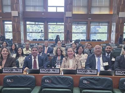 Gloria Reyes destaca impacto de proyecto «Casas sombra» Gloria Reyes destaca impacto de proyecto «Casas sombra»