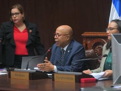Límites que pusieron los diputados en el Código Procesal Penal Límites que pusieron los diputados en el Código Procesal Penal