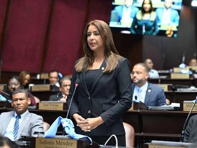 Selinée Méndez denuncia atrasos en proyecto de ley educativo Selinée Méndez denuncia atrasos en proyecto de ley educativo
