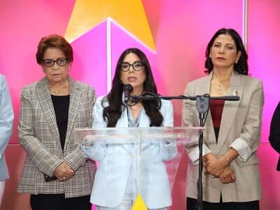 PLD: Violencia contra las mujeres en 2025 PLD: Violencia contra las mujeres en 2025