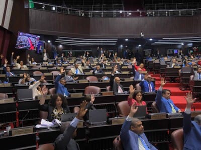 El vacío constitucional con una ley observada por Abinader El vacío constitucional con una ley observada por Abinader