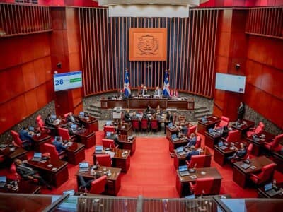Senado aprueba reforma a ley de partidos sobre bienes ilícitos Senado aprueba reforma a ley de partidos sobre bienes ilícitos