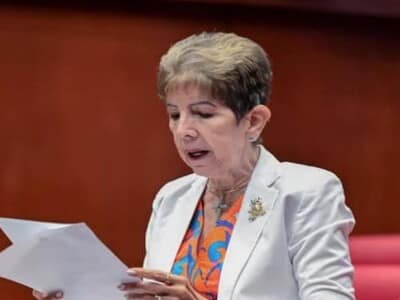Estos fueron los debates de los senadores para aprobar el Código Penal Estos fueron los debates de los senadores para aprobar el Código Penal