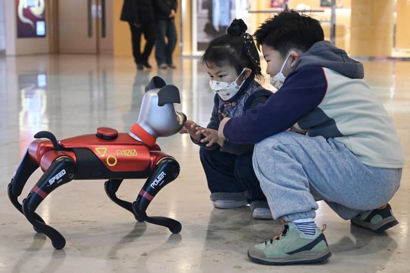 En China jóvenes hablan con robots mascotas que cuestan 900 dólares para recordar que no están solos En China jóvenes hablan con robots mascotas que cuestan 900 dólares para recordar que no están solos