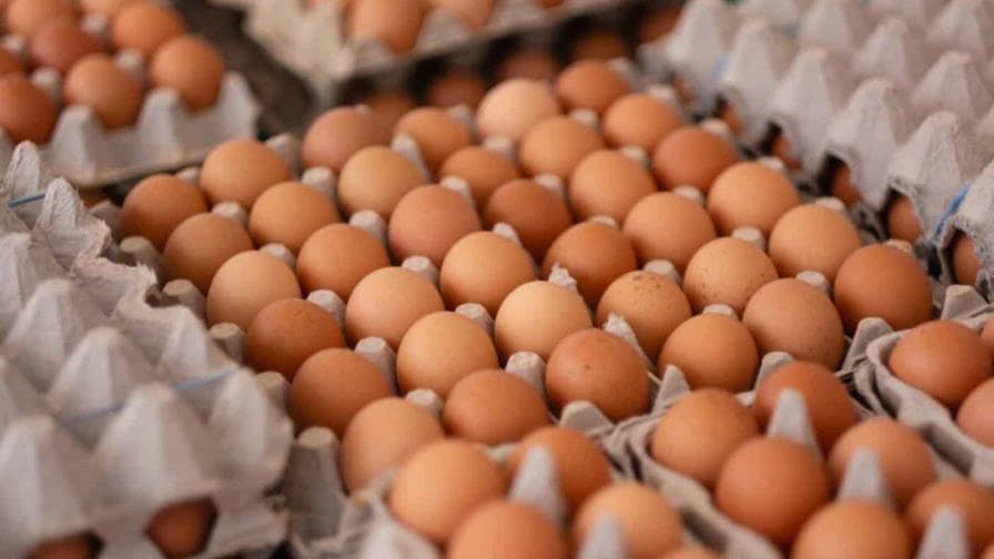 Bodegueros dominicanos en Nueva York venden huevos al detalle para que alcancen Bodegueros dominicanos en Nueva York venden huevos al detalle para que alcancen